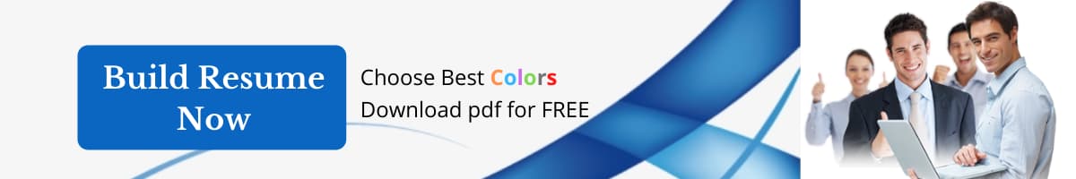 online-resume-builder-link-resume-colors