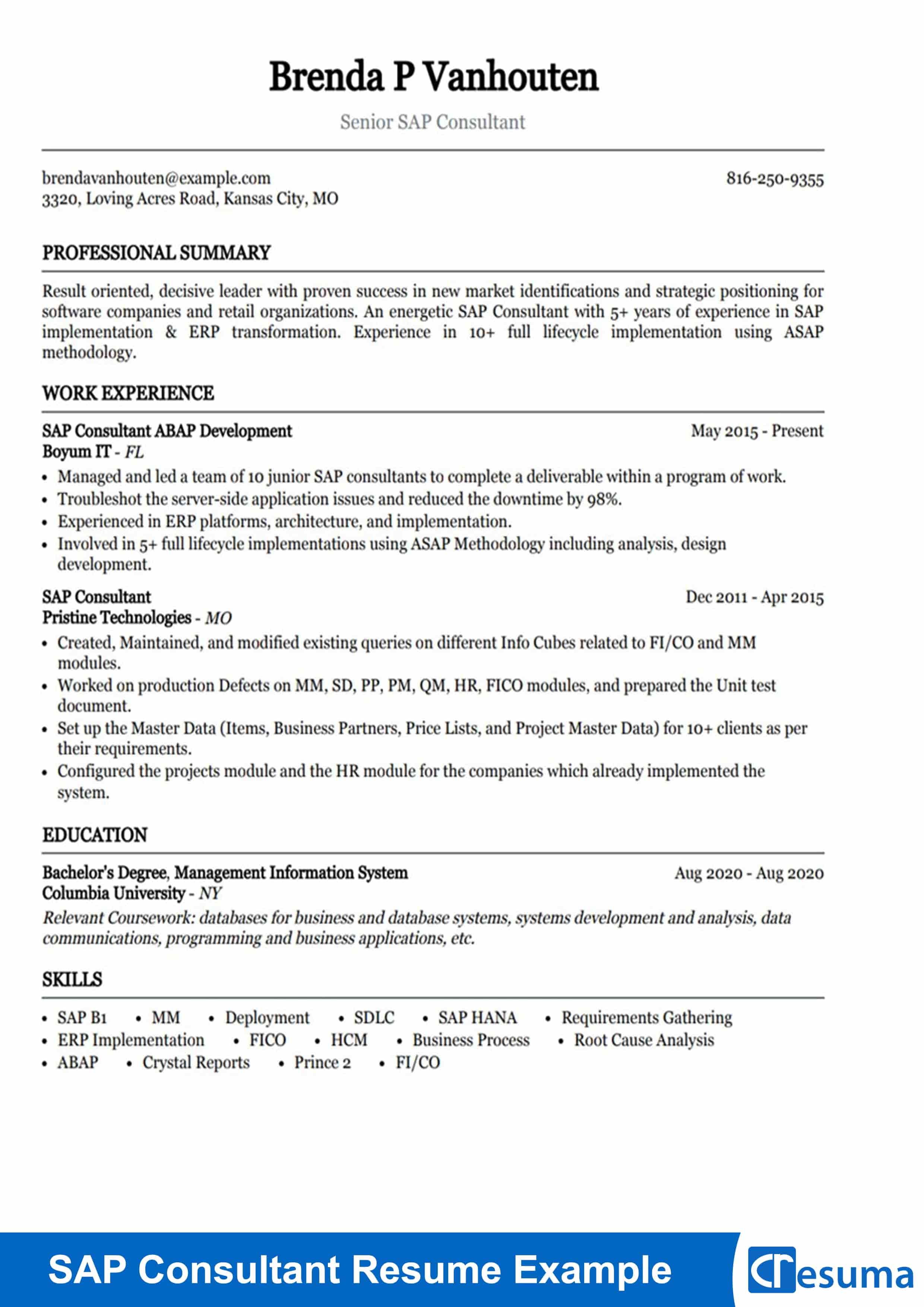 sap consultant resume example