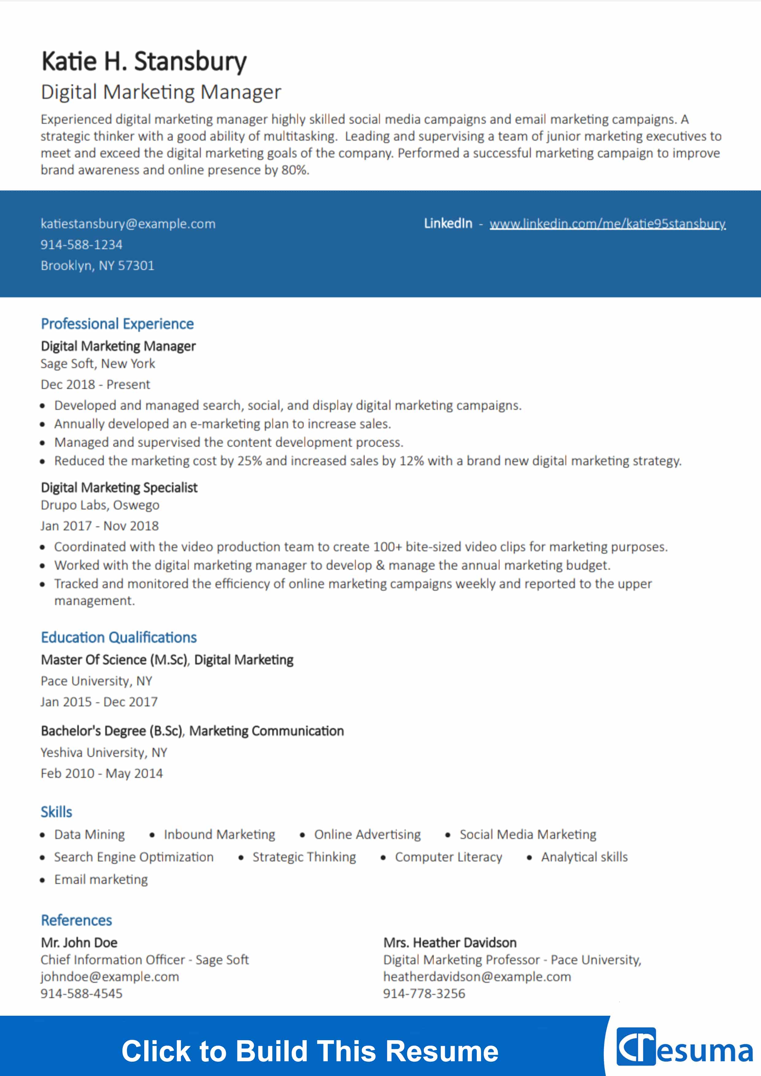 Digital Marketing Manager Resume Example