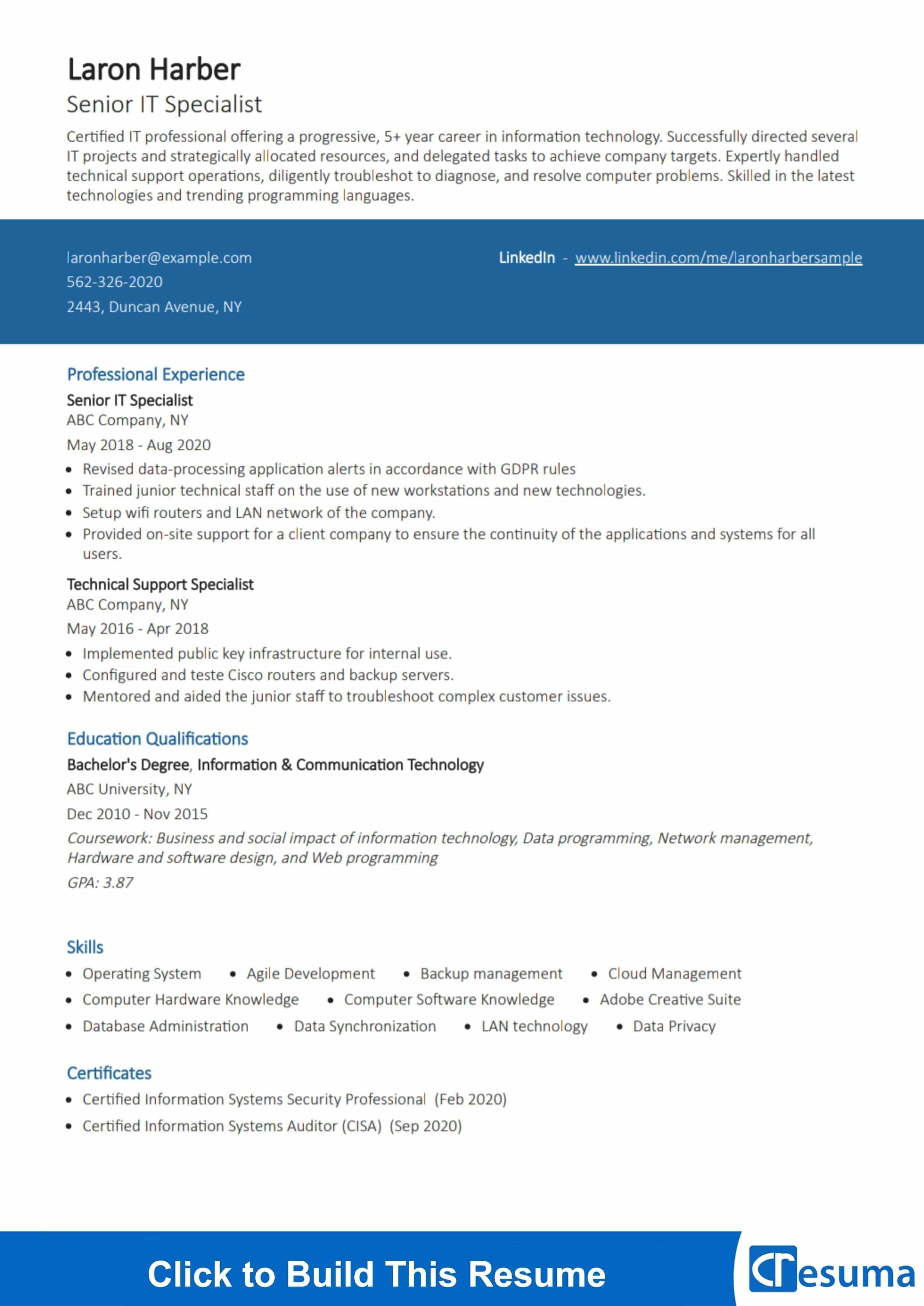 it-specialist-resume-example-2023