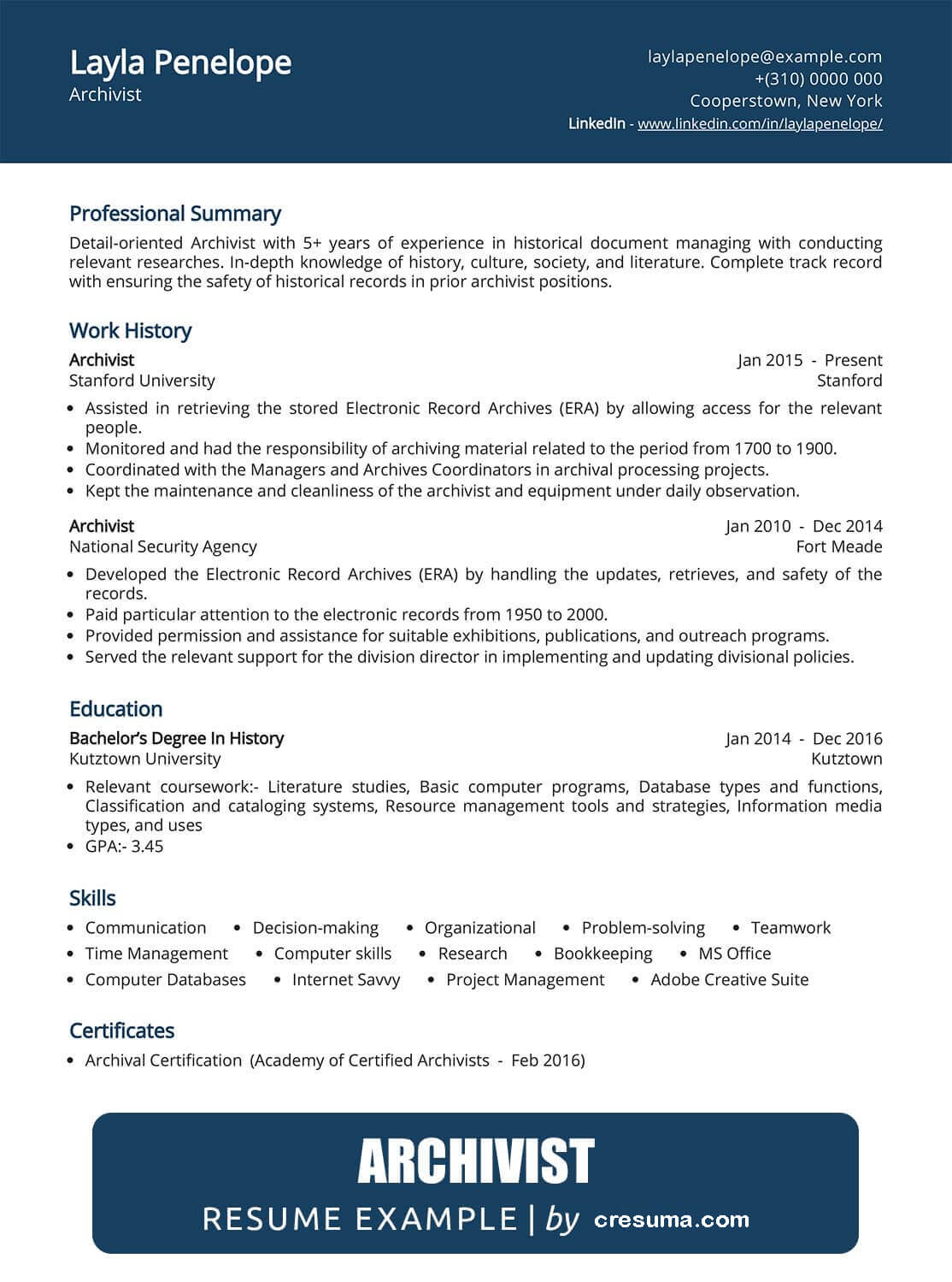 Archivist Resume Examples Writing Guide with Tips]