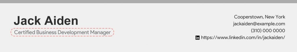 Business Development Manager Resume Header
