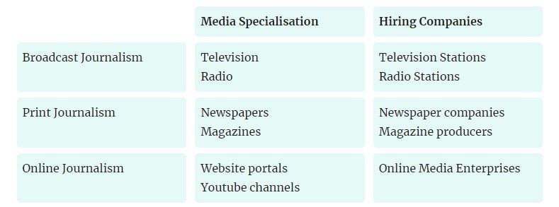 journalist specialized areas - resume example