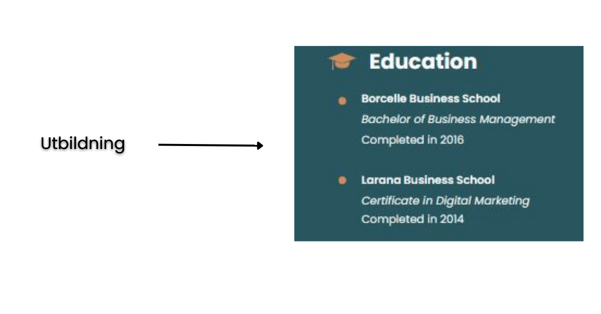 Swedish-CV-Education-History