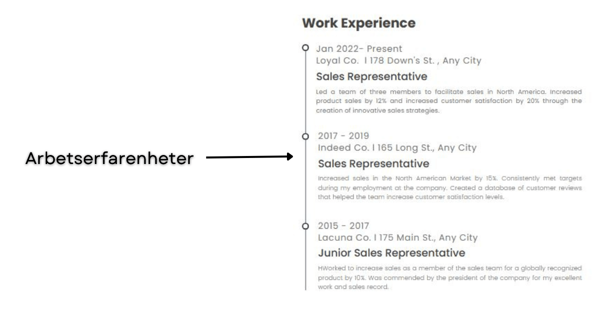 Swedish-CV-Work-Experience
