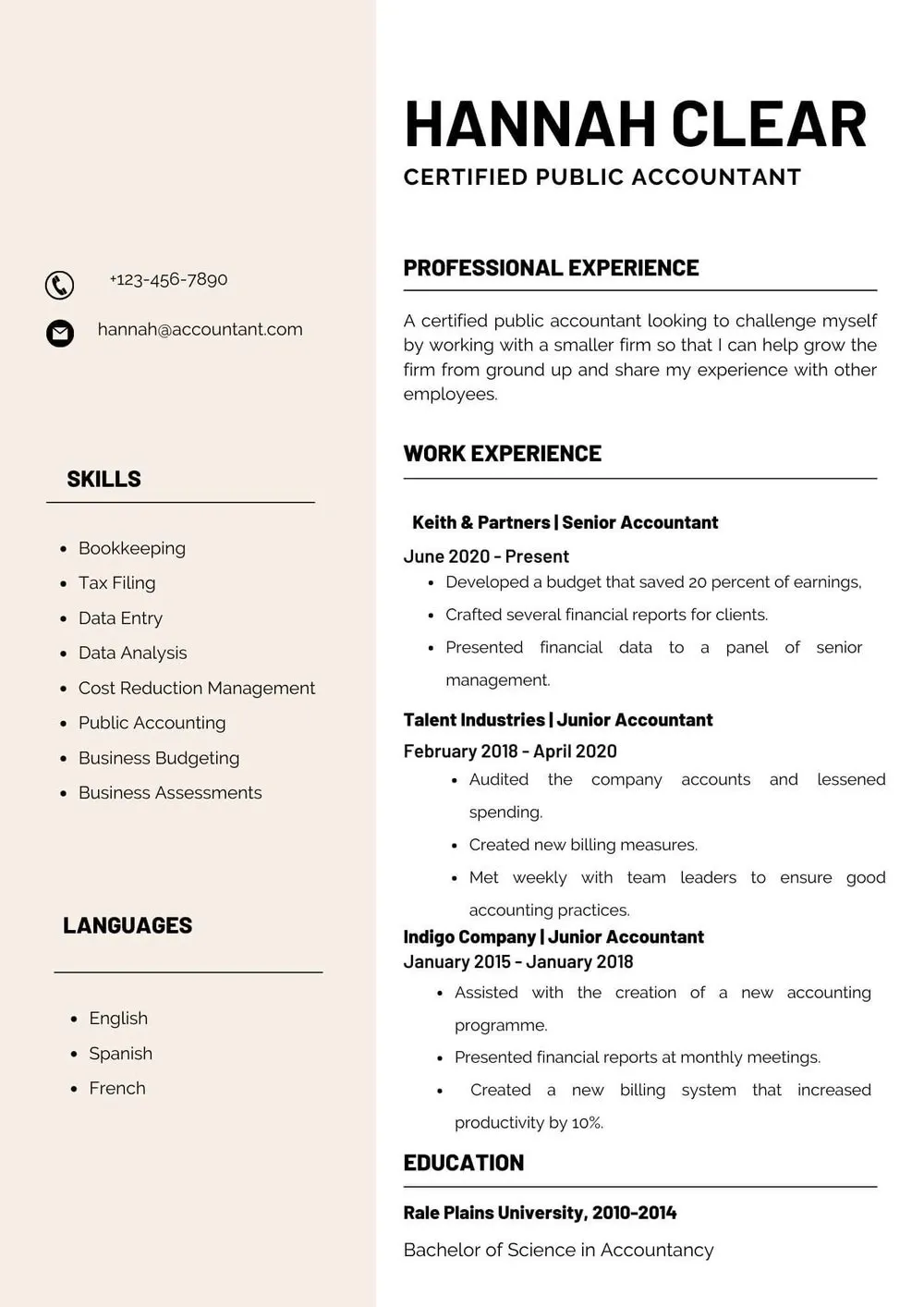CV template for an accountant