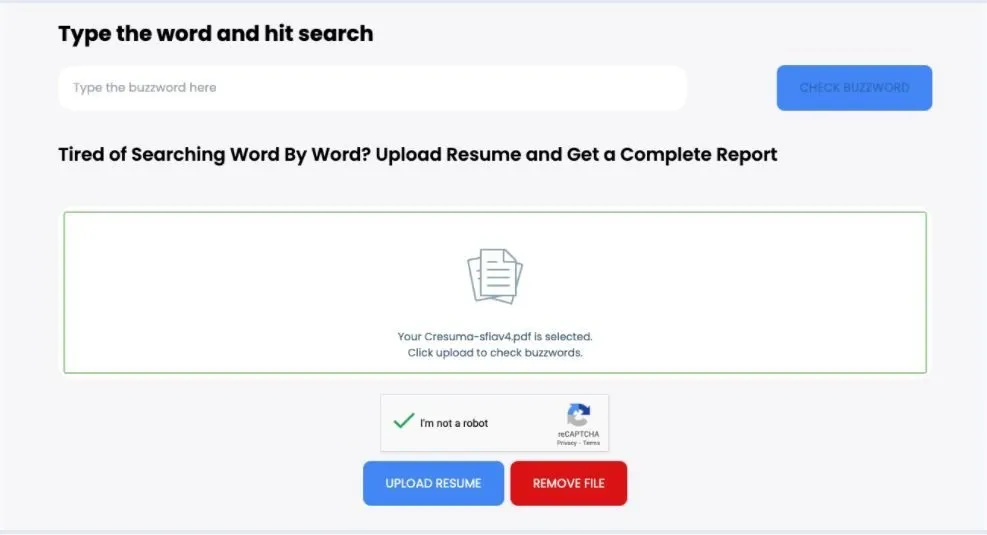 Resume Buzzword Checker - by Cresuma