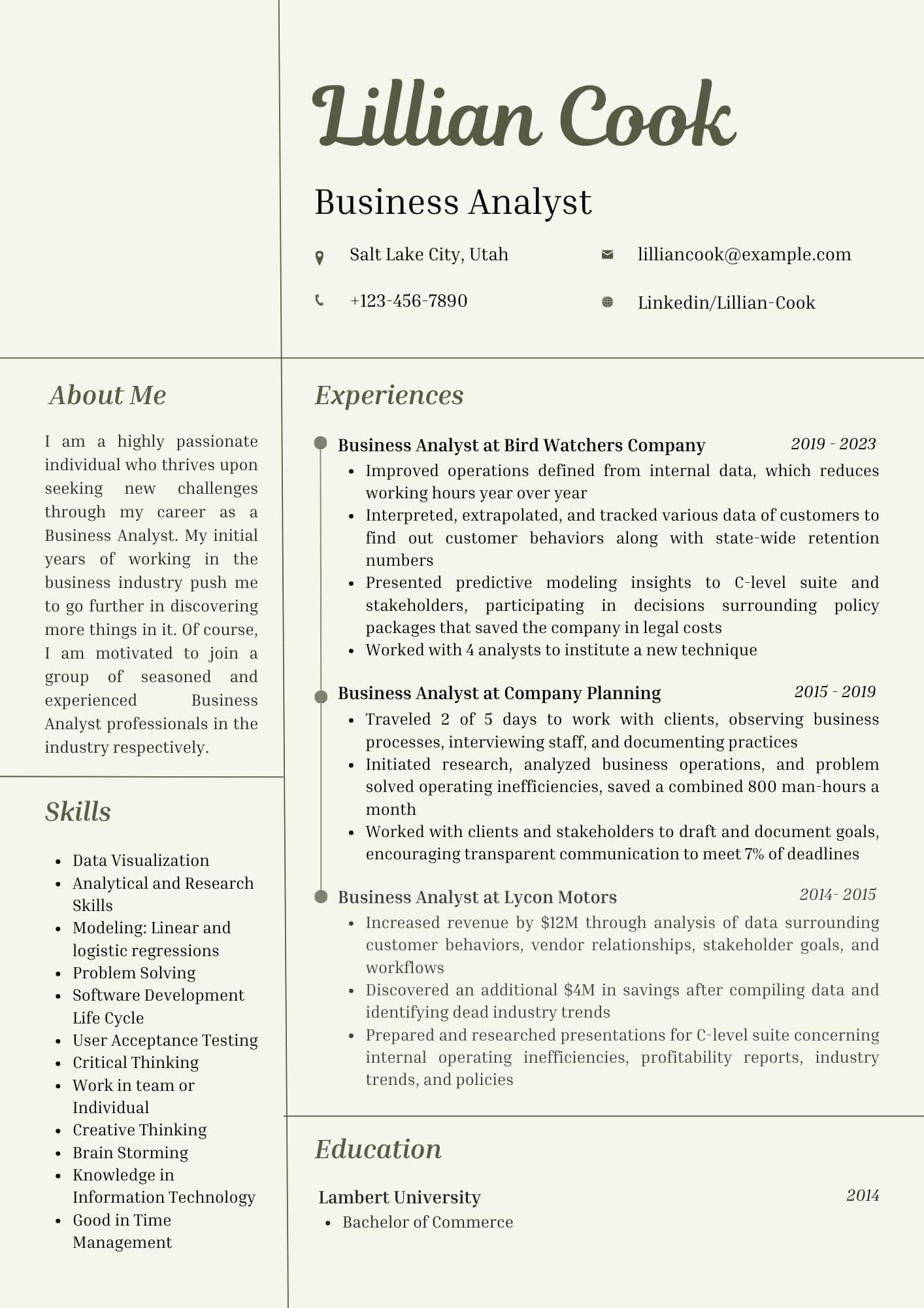 resume example for business analyst